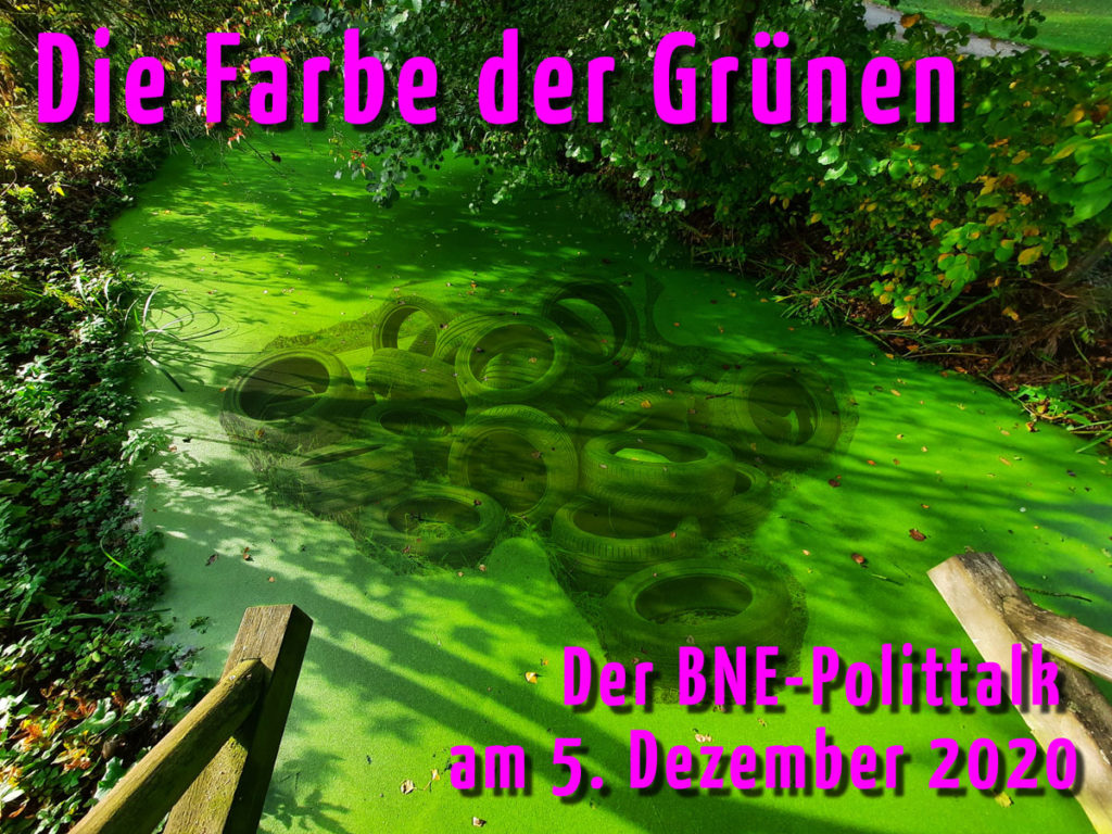 Die Farbe der Grünen - der BNE-Polittalk am 5. Dezember 2020