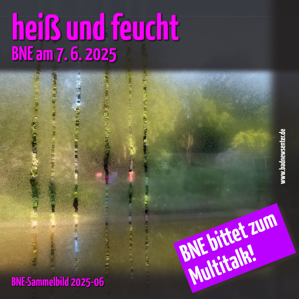 Blick durch eine nasse Fensterscheibe auf einen sonnenbeschienenen Garten.